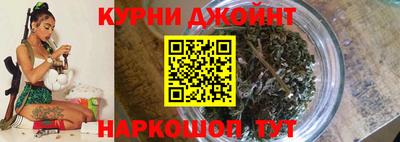 молекула духа Коммунар