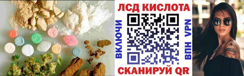 ссылка на мегу как зайти Ковров ЛСД экстази ecstasy как найти наркотики