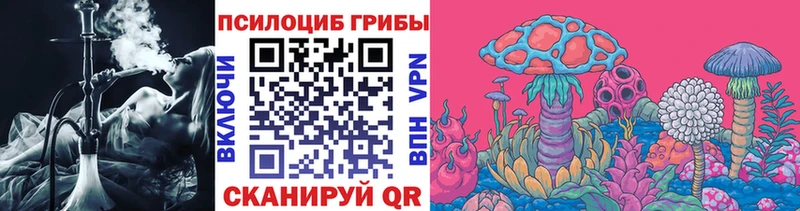 где купить   Ковров  Галлюциногенные грибы GOLDEN TEACHER 
