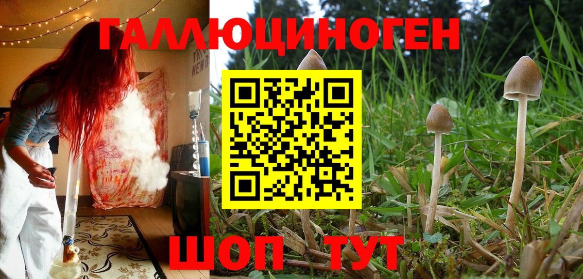 Ковров  Галлюциногенные грибы MAGIC MUSHROOMS  Вход с VPN  Галлюциногенные грибы Psilocybine cubensis 